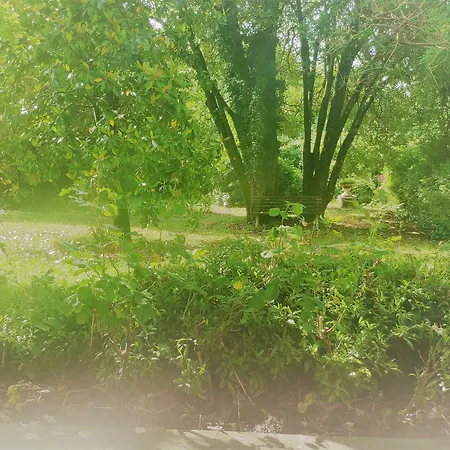 Scalabrini فندق 3*