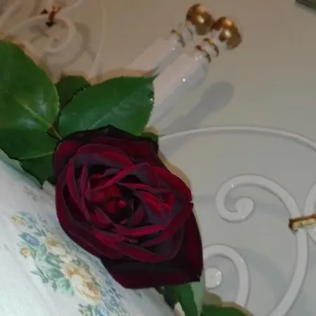 Hotell Scalabrini 3*