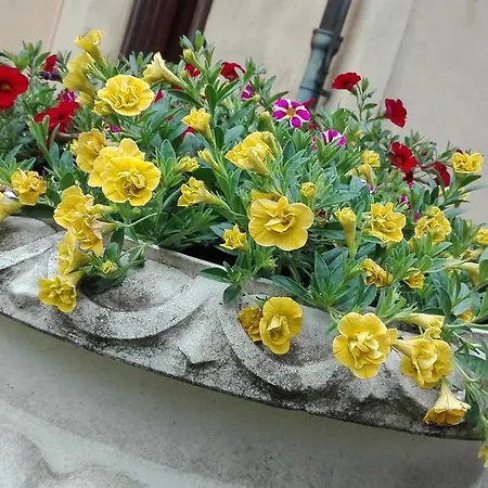 Scalabrini Hotel