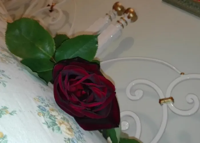 Ξενοδοχείο Scalabrini 3*